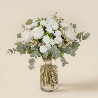 Vert Coton