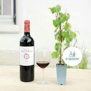Duo vigne et vin