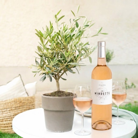 Olivier et son vin rosé "La Minuette"