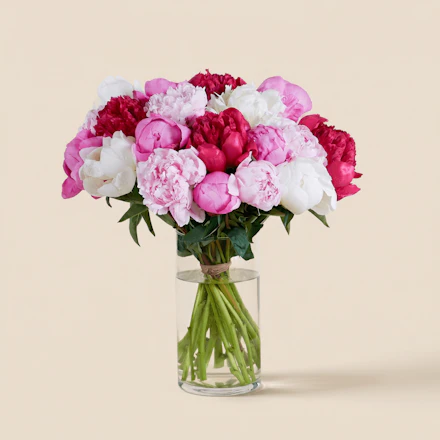 Brassée de pivoines variées
