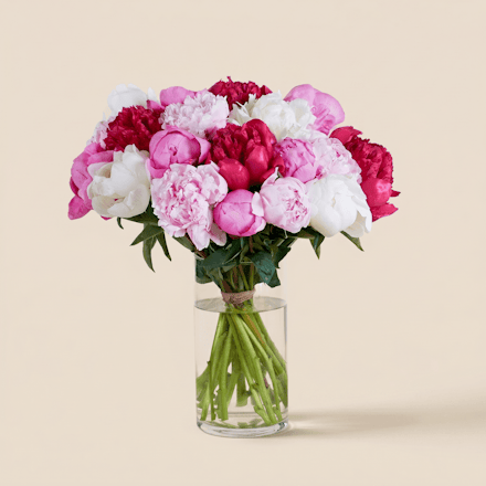 Brassée de pivoines variées