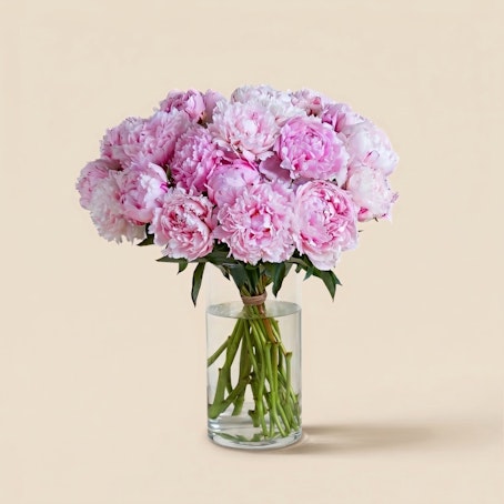 Brassée de pivoines rose pâle