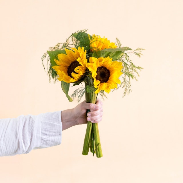 Petite brassée de tournesols