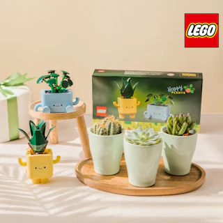 Duo cactus & plantes LEGO®