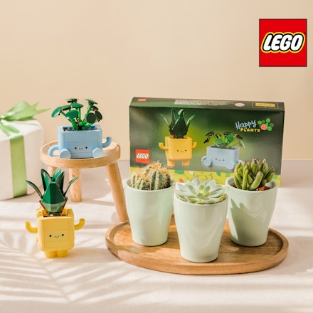 Duo cactus & plantes LEGO®