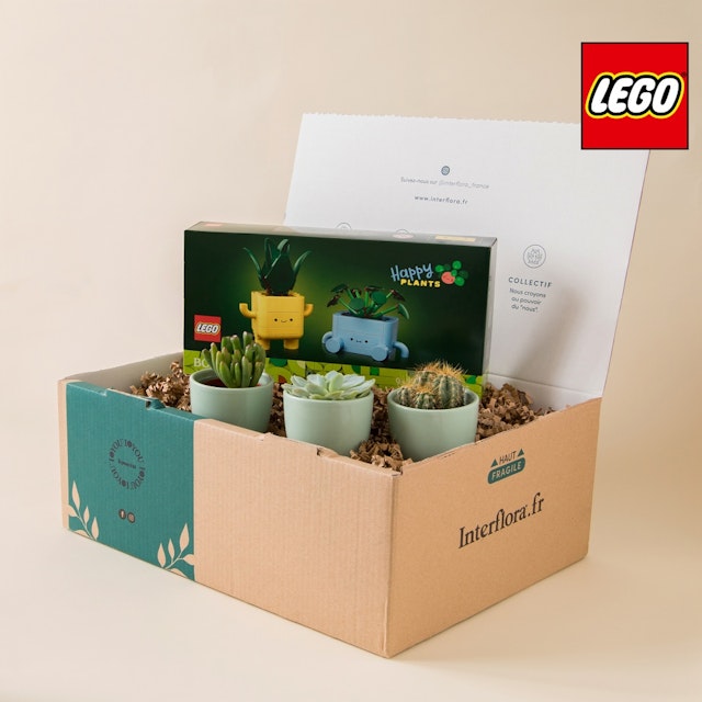 Duo cactus & plantes LEGO®
