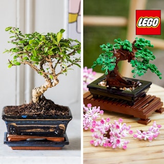 Coffret Bonsai et LEGO®