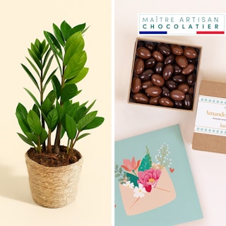 Coffret cadeau plante