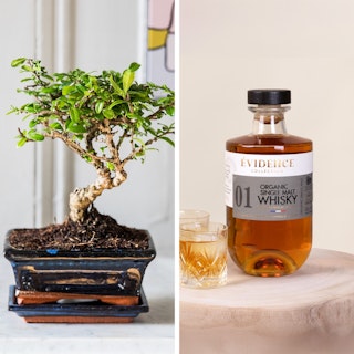 Coffret Bonsaï et son Whisky
