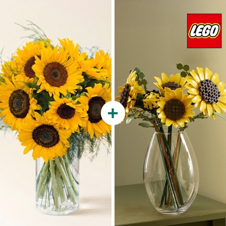 Instant Soleil LEGO®