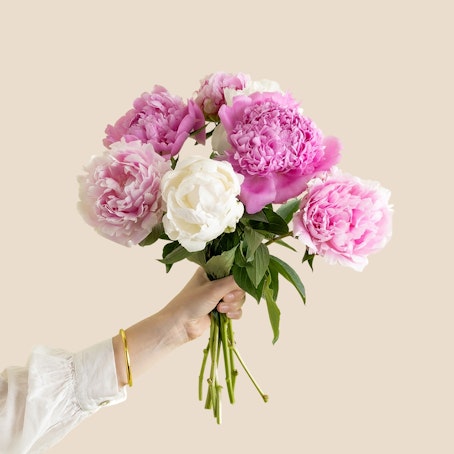 Petite brassée de pivoines variées