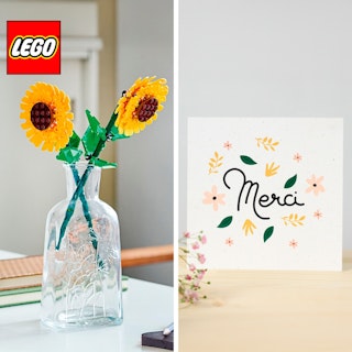 Coffret LEGO® Merci