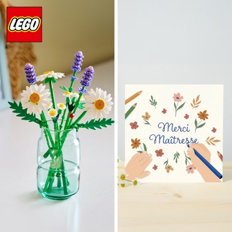 Coffret LEGO® Merci maîtresse