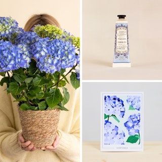 Coffret Azur
