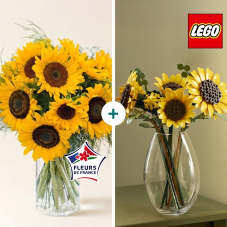Instant Soleil LEGO®
