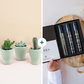 Coffret plantes & oenologie