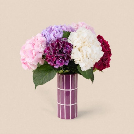 Brassée d'hortensias variée et son vase