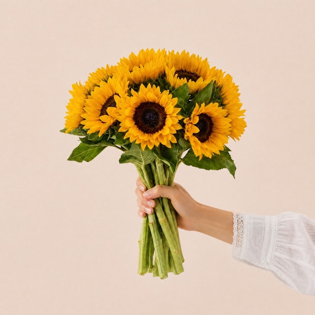 Brassée de Tournesols