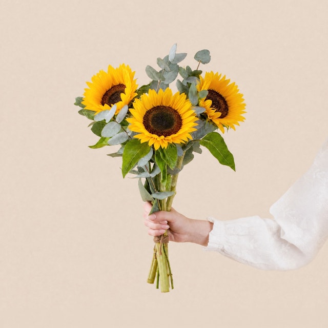 Petite brassée de tournesols