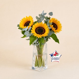 Petite brassée de tournesols