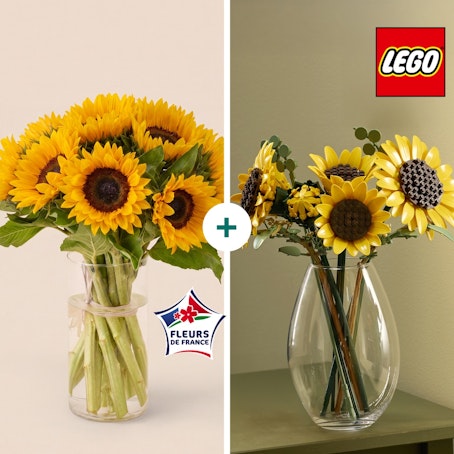 Instant Soleil LEGO®