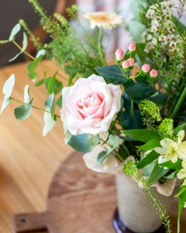 Astuces naturelles pour l’entretien de la rose