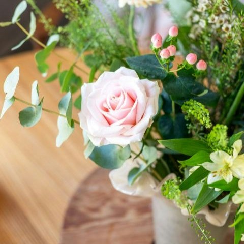 Astuces naturelles pour l’entretien de la rose