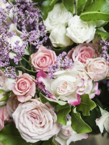 Quelles roses choisir pour votre bouquet de roses séchées ?