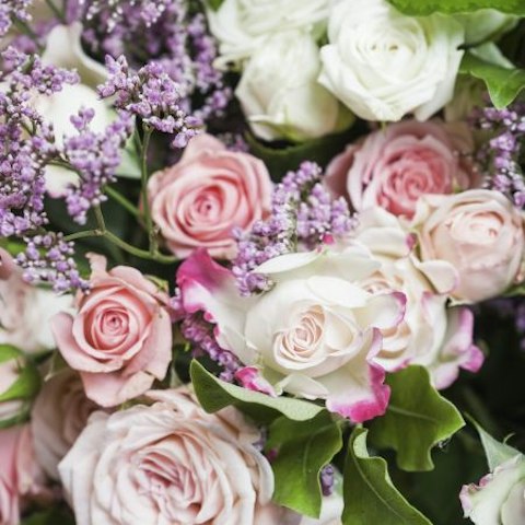 Quelles roses choisir pour votre bouquet de roses séchées ?