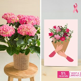 Hortensia et sa carte message Octobre rose