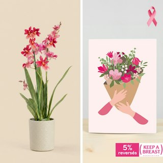Orchidée Nelly Isler et sa carte message Octobre Rose