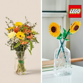 Coffret LEGO® Tournesols