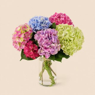Brassée d'Hortensias
