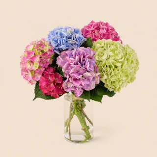 Brassée d'Hortensias