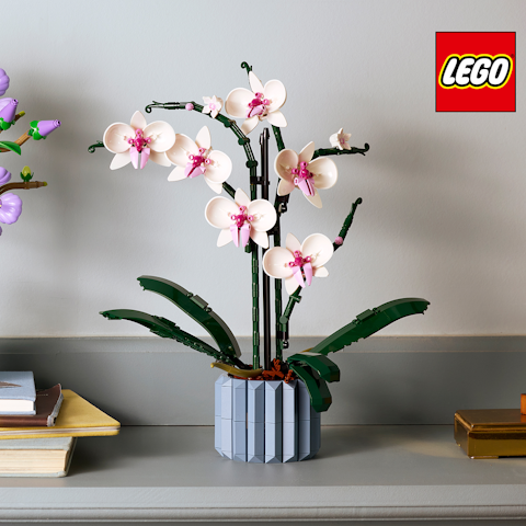 Découvrez nos plantes LEGO® : l'élégance végétale qui traverse le temps