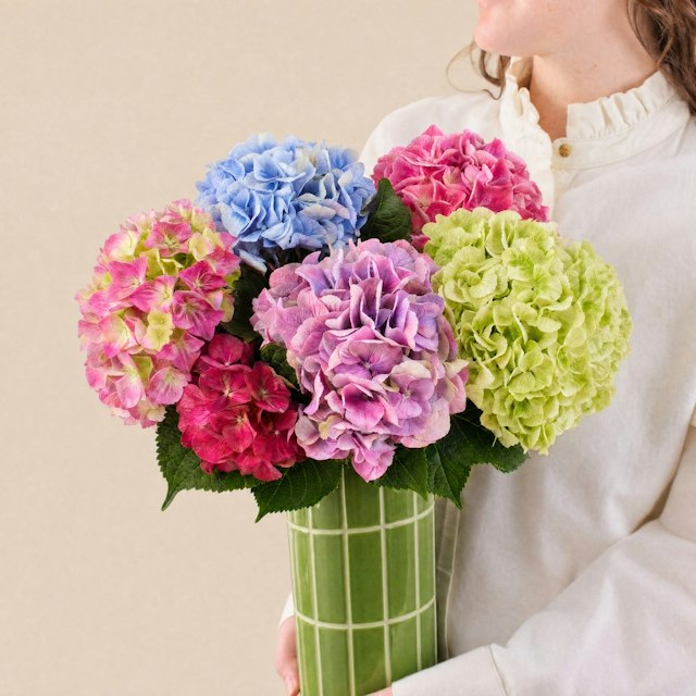 Brassée d'hortensias variée et son vase
