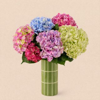 Brassée d'hortensias variée et son vase