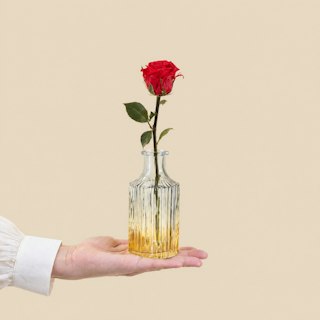 Rose éternelle et son soliflore