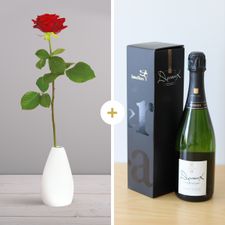 Bouquet de roses Rose rouge et son champagne Devaux