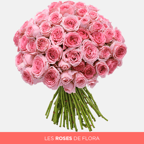 Un joli bouquet de roses roses : l'emblême de la douceur et de la gentillesse