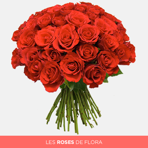 Un magnifique bouquet de roses rouges : les roses de l'amour