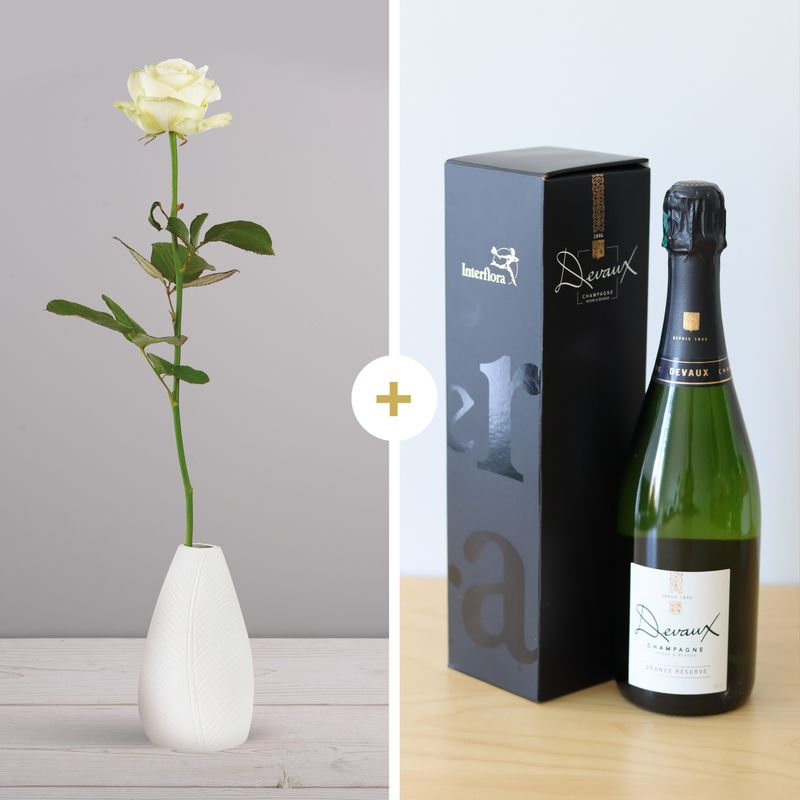 Rose blanche et son champagne Devaux - Idée Cadeau Interflora - Livraison en 4H