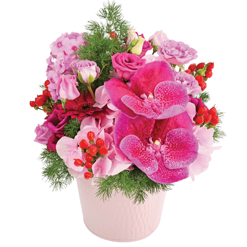 Idée Cadeau Anniversaire - Composition Cupcake - Livraison Fleurs Interflora