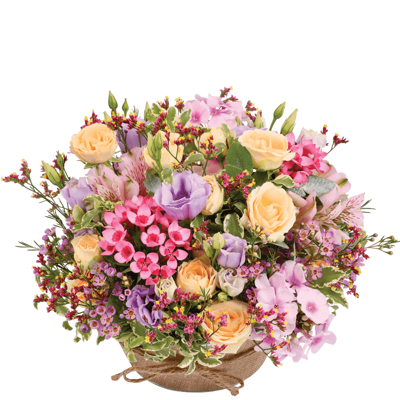 Composition Fleurs Zeste Tendre - Idée Cadeau Anniversaire