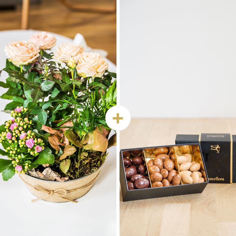 Idée Cadeau Anniversaire : Livraison Fleurs et Chocolats - Interflora