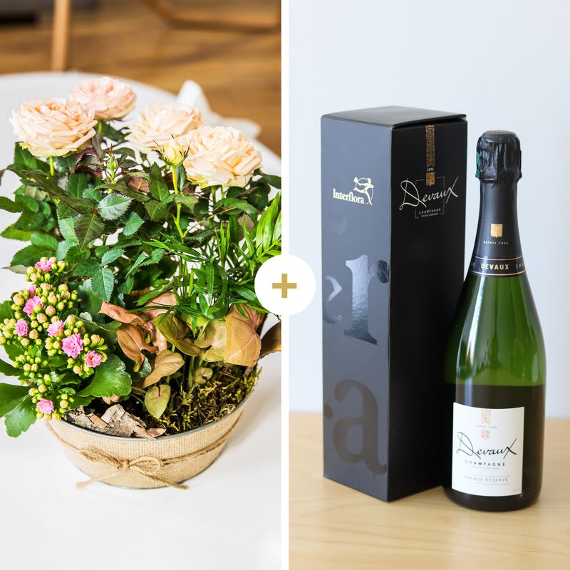 Livraison Fleurs et Champagne - Cadeau Anniversaire livré en 4H - Interflora