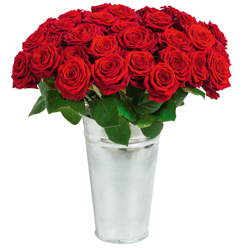 Fleurs Enterrement : Rose du dernier adieu - Collection Deuil Interflora