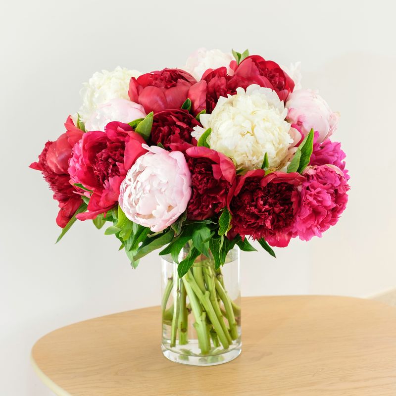 Bouquet de pivoines - Livraison Fleurs en 24H - Interflora