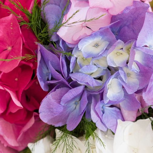 Bouquet de fleurs Brassée d'Hortensias et son vase