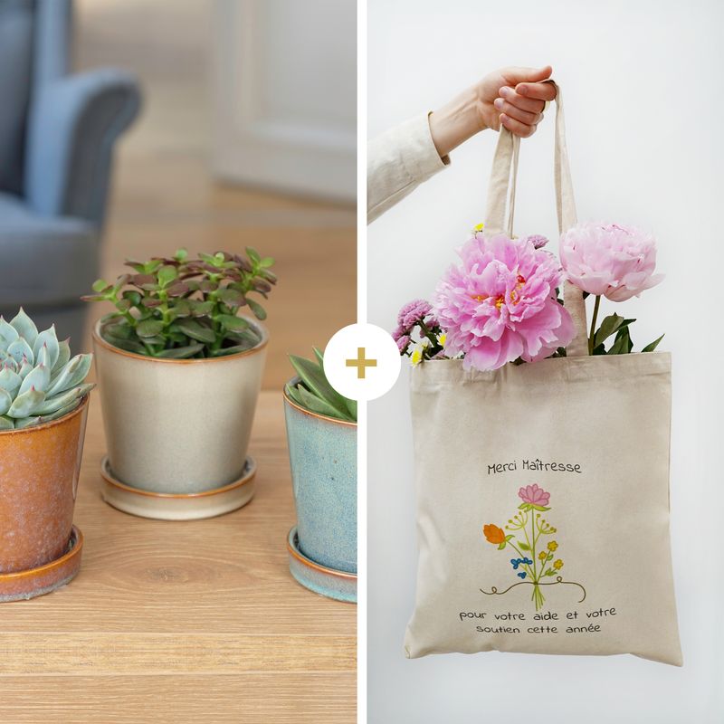 Trio de Succulentes & son Tote bag - Interflora - Collection Merci Maîtresse d'école